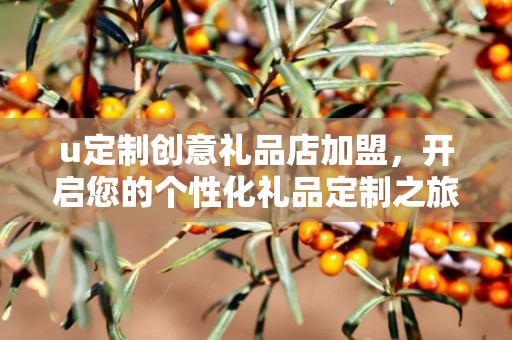 u定制创意礼品店加盟，开启您的个性化礼品定制之旅，与企承礼品供应链共创辉煌